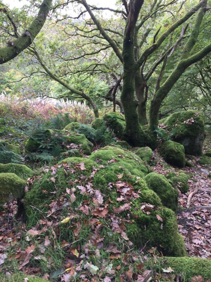 Pisgah Guesthouse Snowdonia Blaenau Ffestiniog Esterno foto