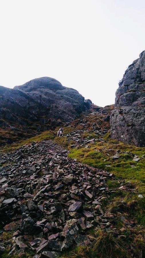 Pisgah Guesthouse Snowdonia Blaenau Ffestiniog Esterno foto